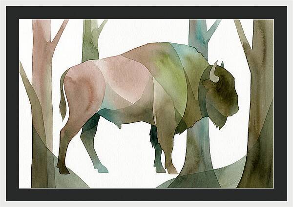 European Bison In Nature