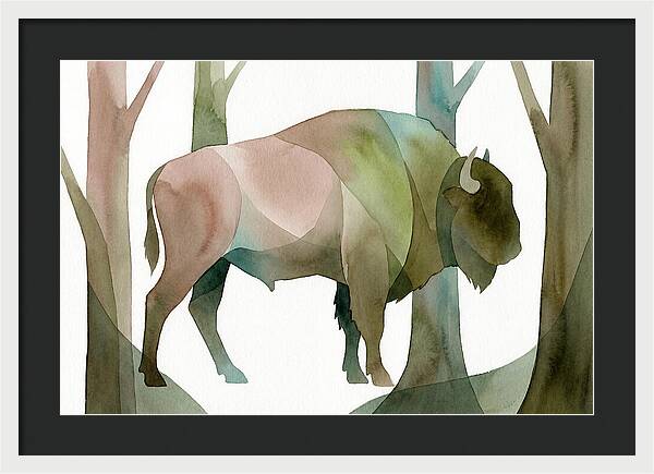 European Bison In Nature