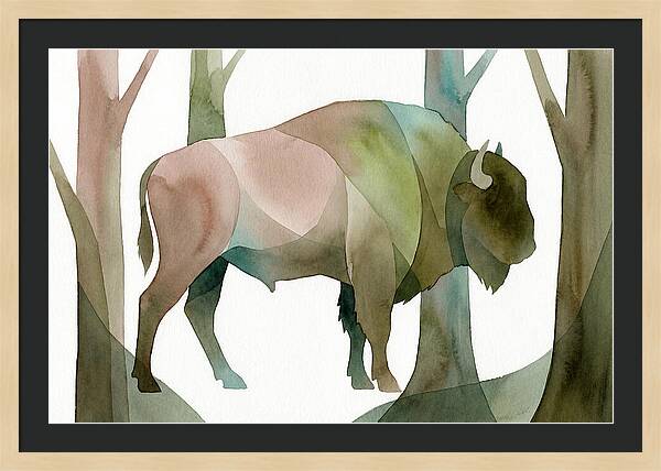 European Bison In Nature