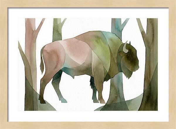 European Bison In Nature