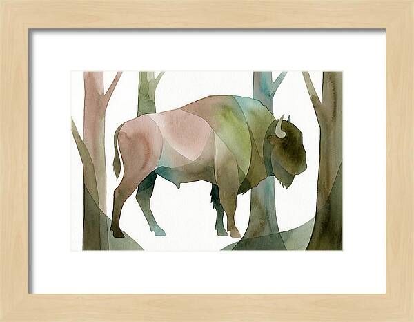 European Bison In Nature