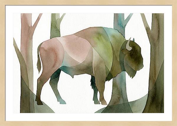 European Bison In Nature