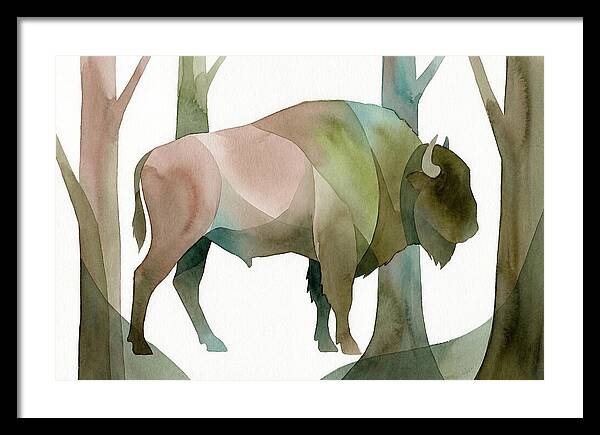 European Bison In Nature