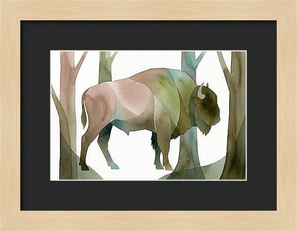 European Bison In Nature