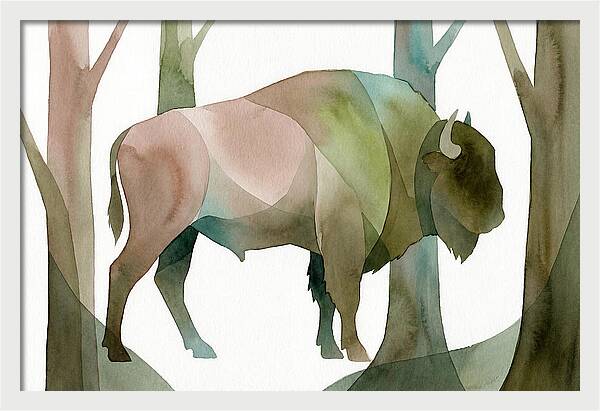European Bison In Nature