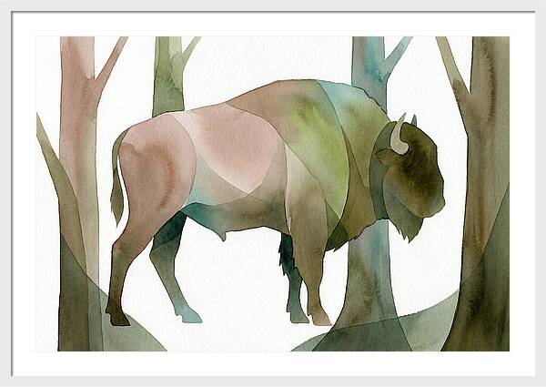 European Bison In Nature