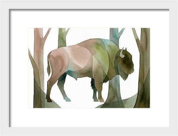 European Bison In Nature