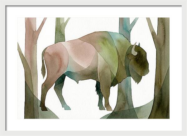 European Bison In Nature
