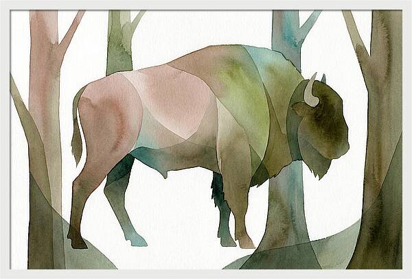 European Bison In Nature
