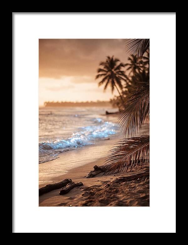 Evening Tropical Beach Glow