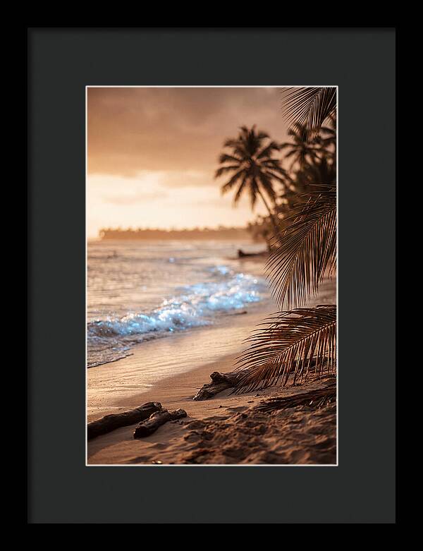 Evening Tropical Beach Glow