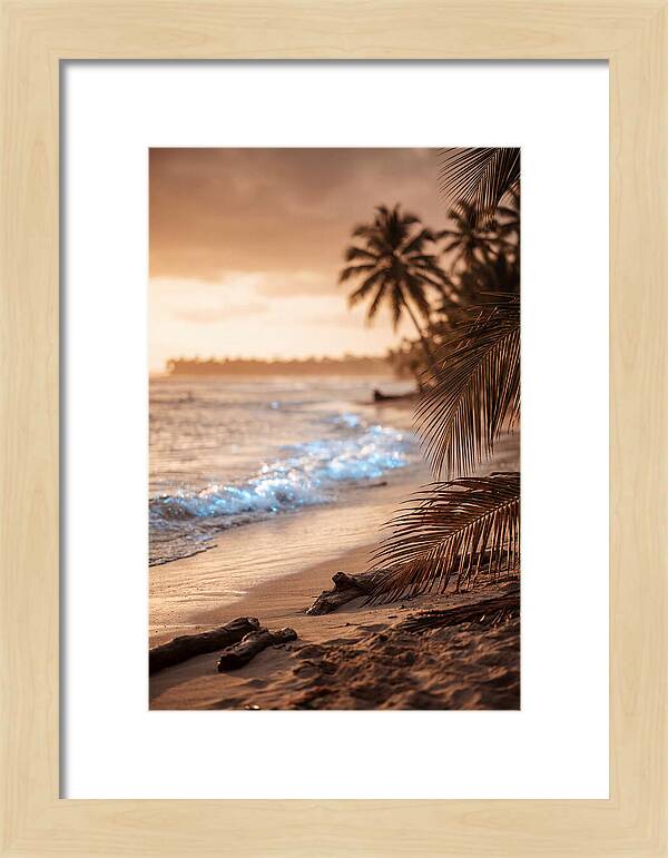 Evening Tropical Beach Glow