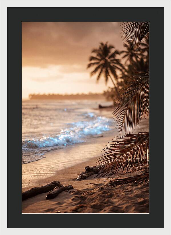 Evening Tropical Beach Glow