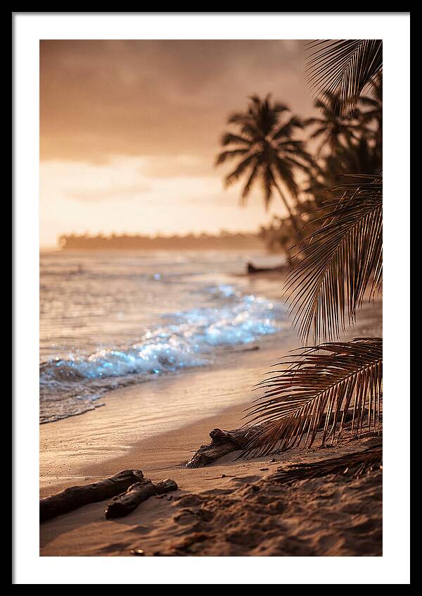 Evening Tropical Beach Glow