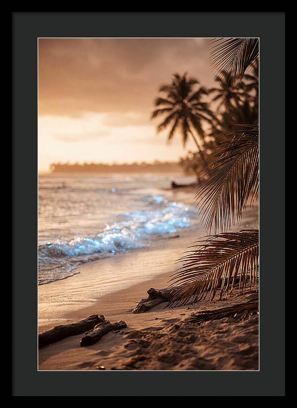 Evening Tropical Beach Glow