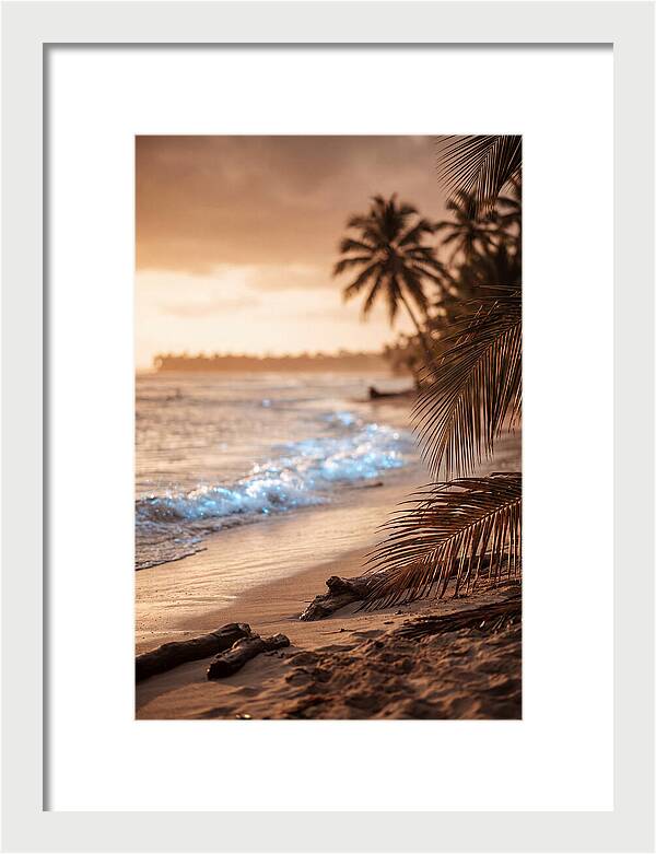 Evening Tropical Beach Glow