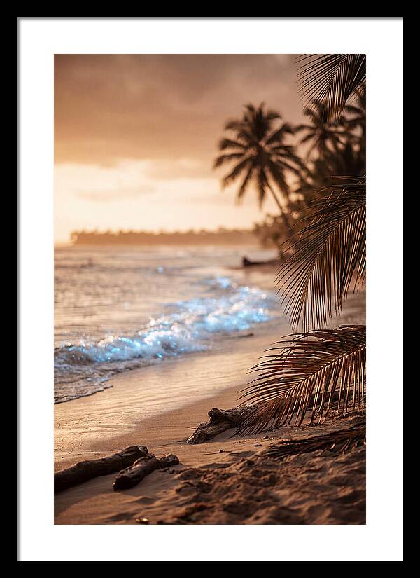 Evening Tropical Beach Glow