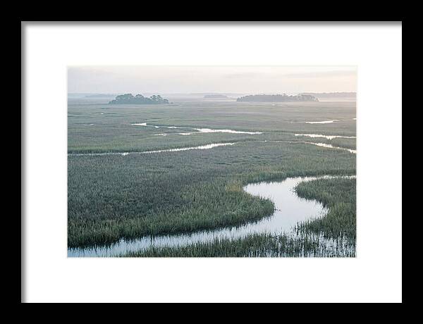 Everglades Dawn Tranquility