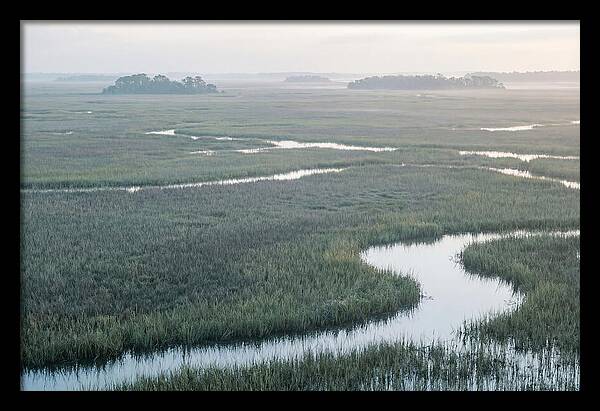 Everglades Dawn Tranquility