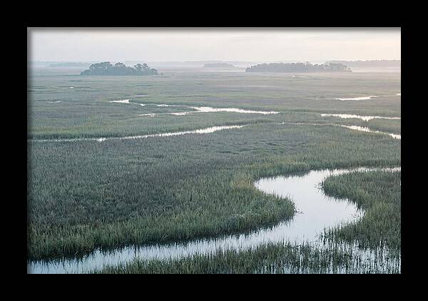 Everglades Dawn Tranquility