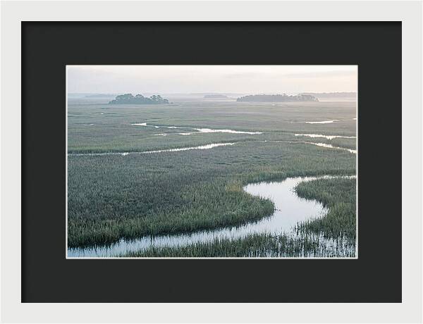 Everglades Dawn Tranquility