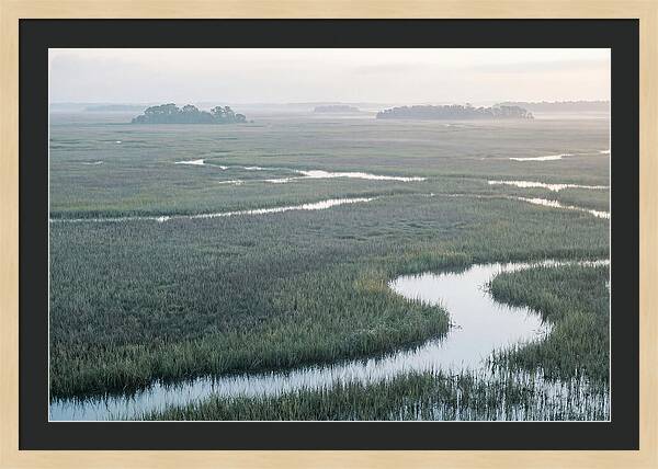 Everglades Dawn Tranquility