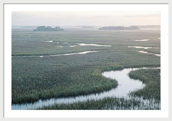 Everglades Dawn Tranquility