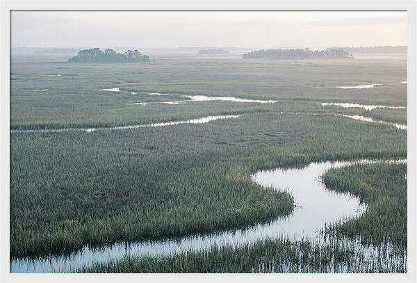 Everglades Dawn Tranquility