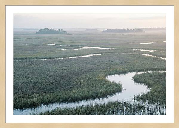 Everglades Dawn Tranquility
