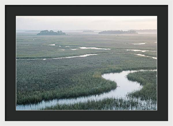 Everglades Dawn Tranquility