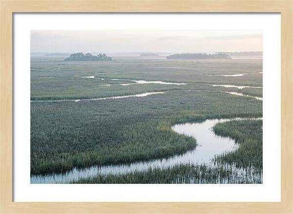 Everglades Dawn Tranquility