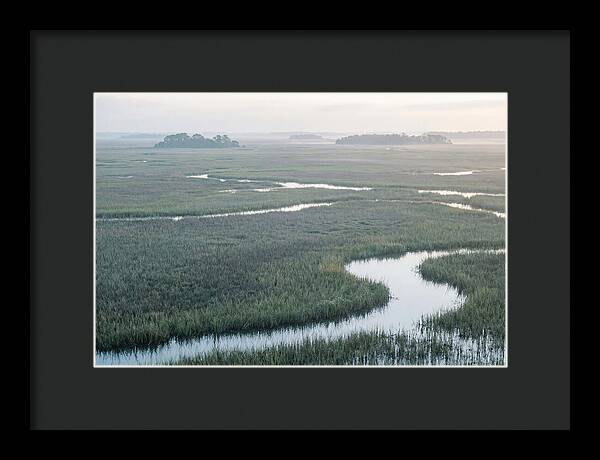 Everglades Dawn Tranquility