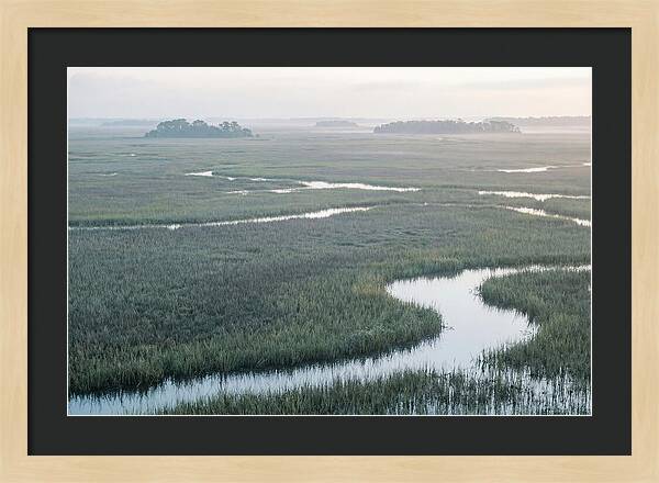 Everglades Dawn Tranquility