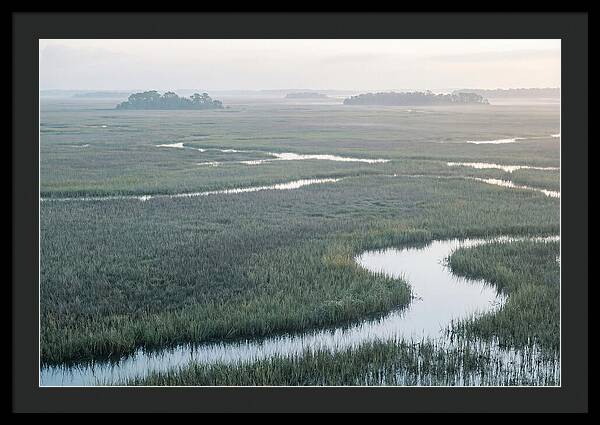 Everglades Dawn Tranquility