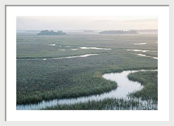 Everglades Dawn Tranquility