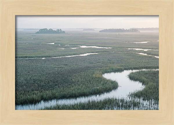 Everglades Dawn Tranquility