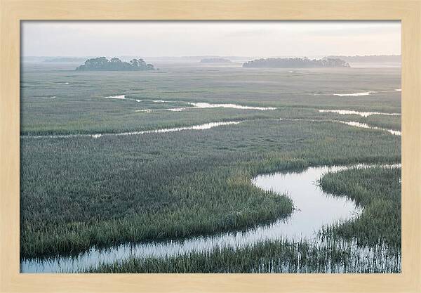 Everglades Dawn Tranquility