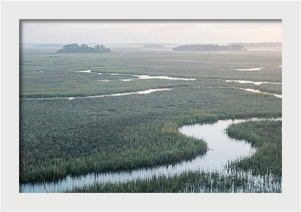 Everglades Dawn Tranquility