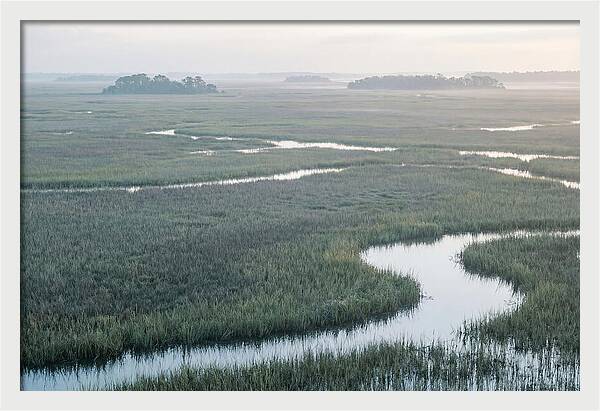 Everglades Dawn Tranquility