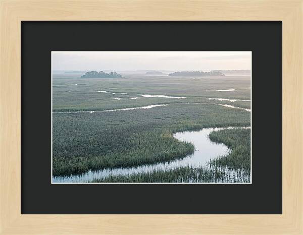 Everglades Dawn Tranquility