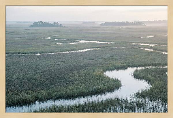 Everglades Dawn Tranquility