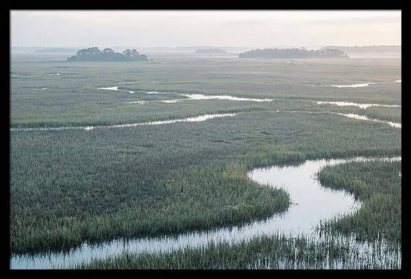 Everglades Dawn Tranquility