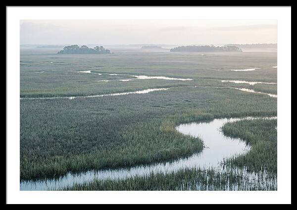 Everglades Dawn Tranquility