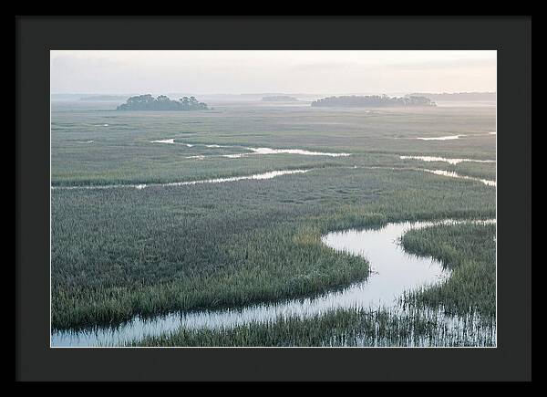 Everglades Dawn Tranquility