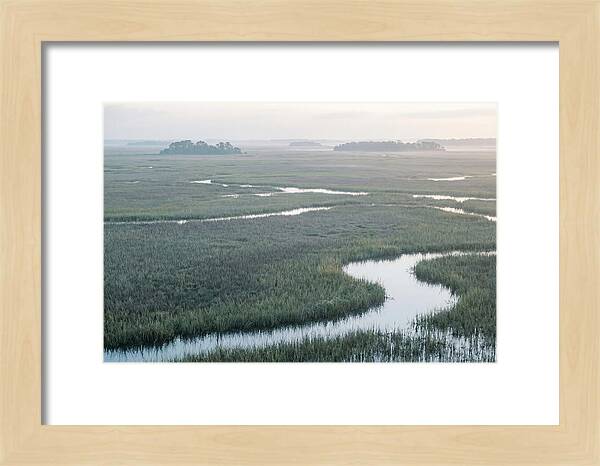 Everglades Dawn Tranquility
