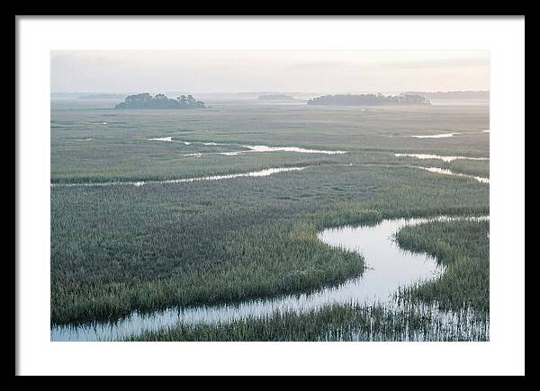 Everglades Dawn Tranquility