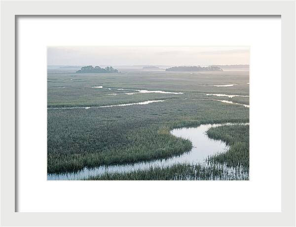 Everglades Dawn Tranquility