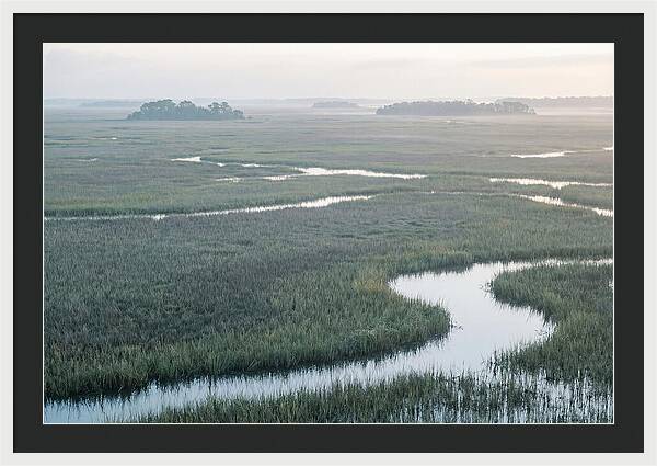 Everglades Dawn Tranquility