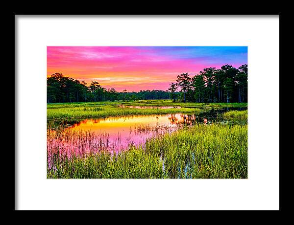 Everglades Dawn Tranquility
