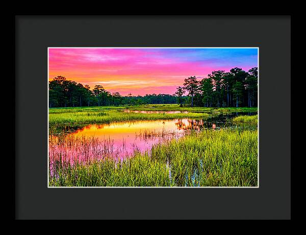 Everglades Dawn Tranquility